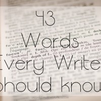 43 Words Every Writer Should know
